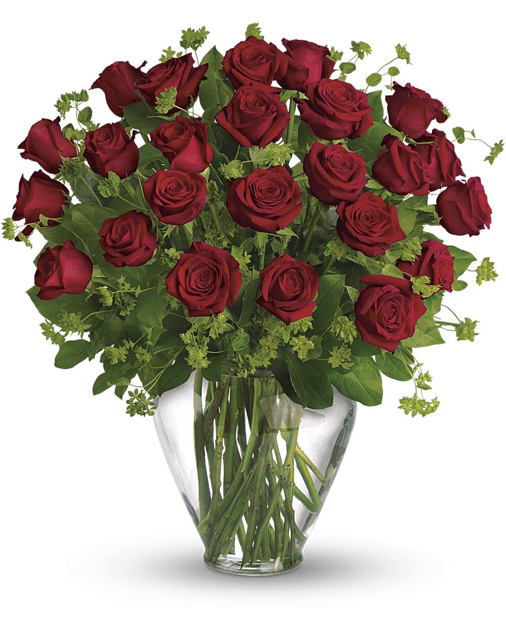 Premium long-stemmed roses from Floral Masters