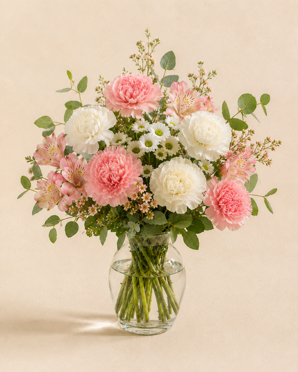 Cotton Candy Blooms – Standard