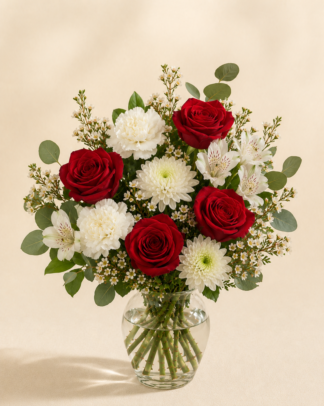 Crimson and Cream – Standard