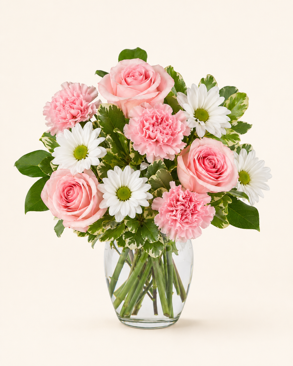 Blush Daisy Cheer with white daisy mums – Standard