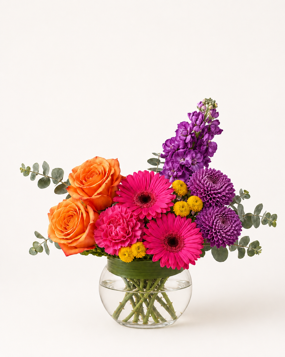 Color Pop – Standard