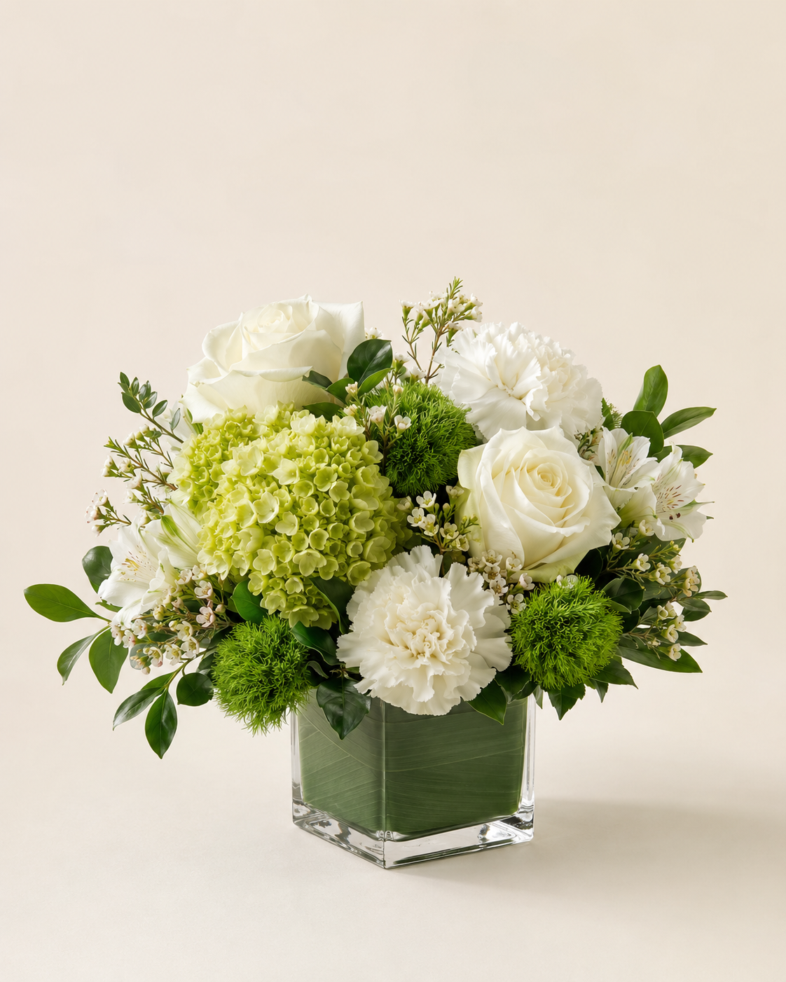 Green and Grace — Standard
