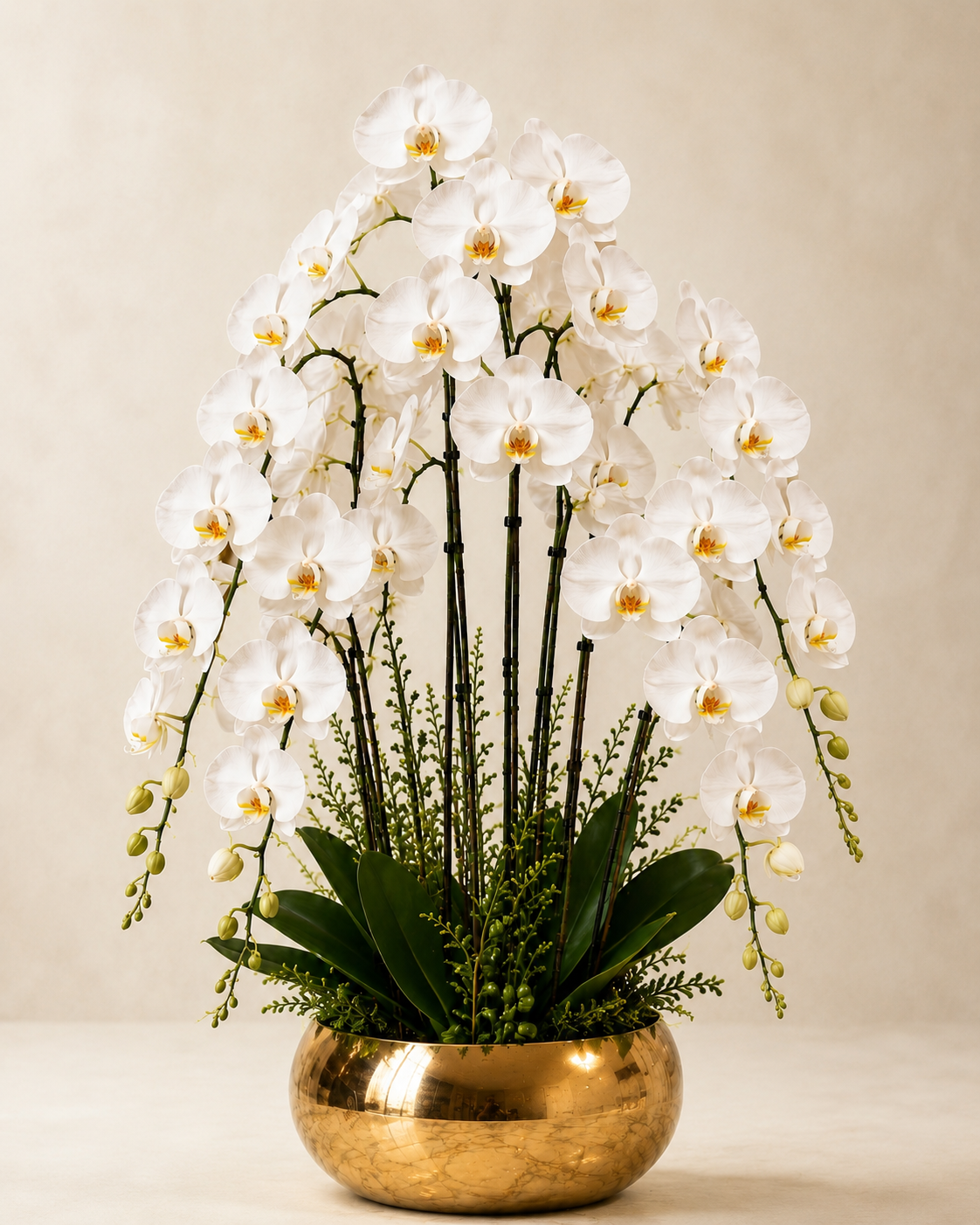 Luxury Orchid floral arrangement by Floral Masters