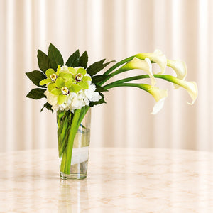 Moondance — original catalog lifestyle photo, Standard arrangement shown