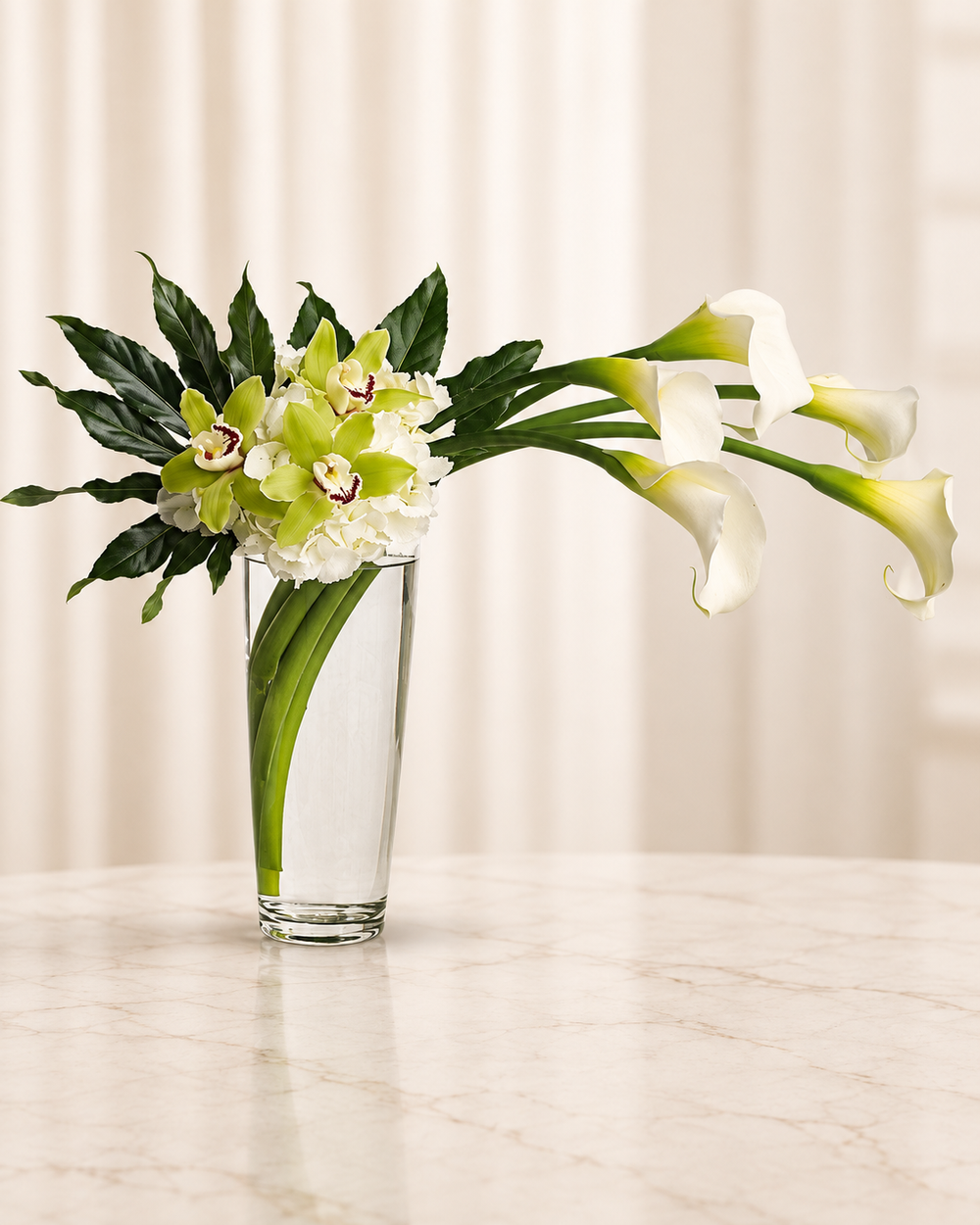 Moondance — Standard — cream background