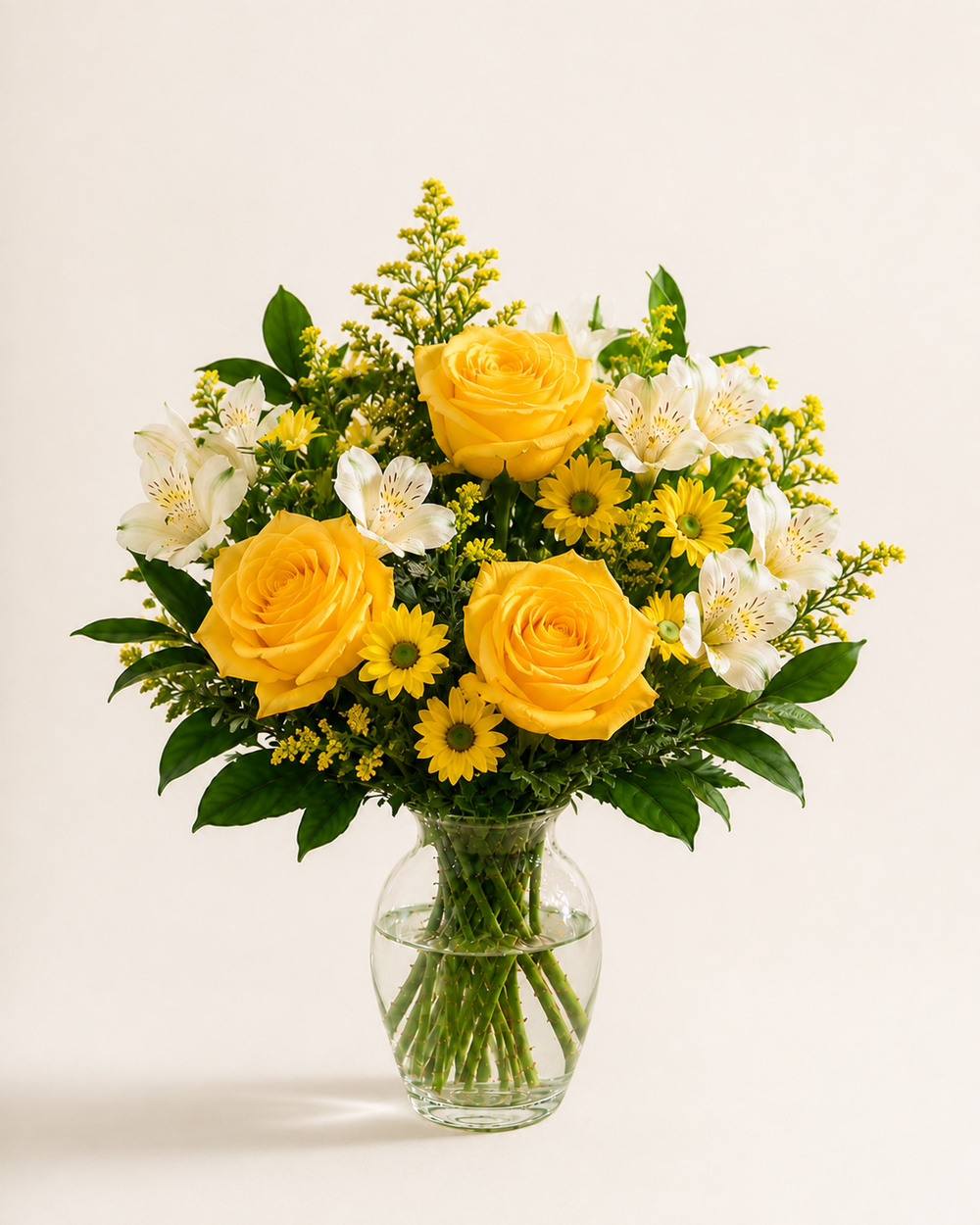 Morning Glow – Standard