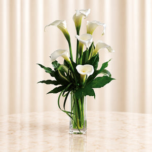 My Fair Lady — original catalog lifestyle photo, Standard arrangement shown