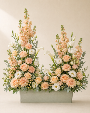 Peachtree Dawn Remembrance — Premium