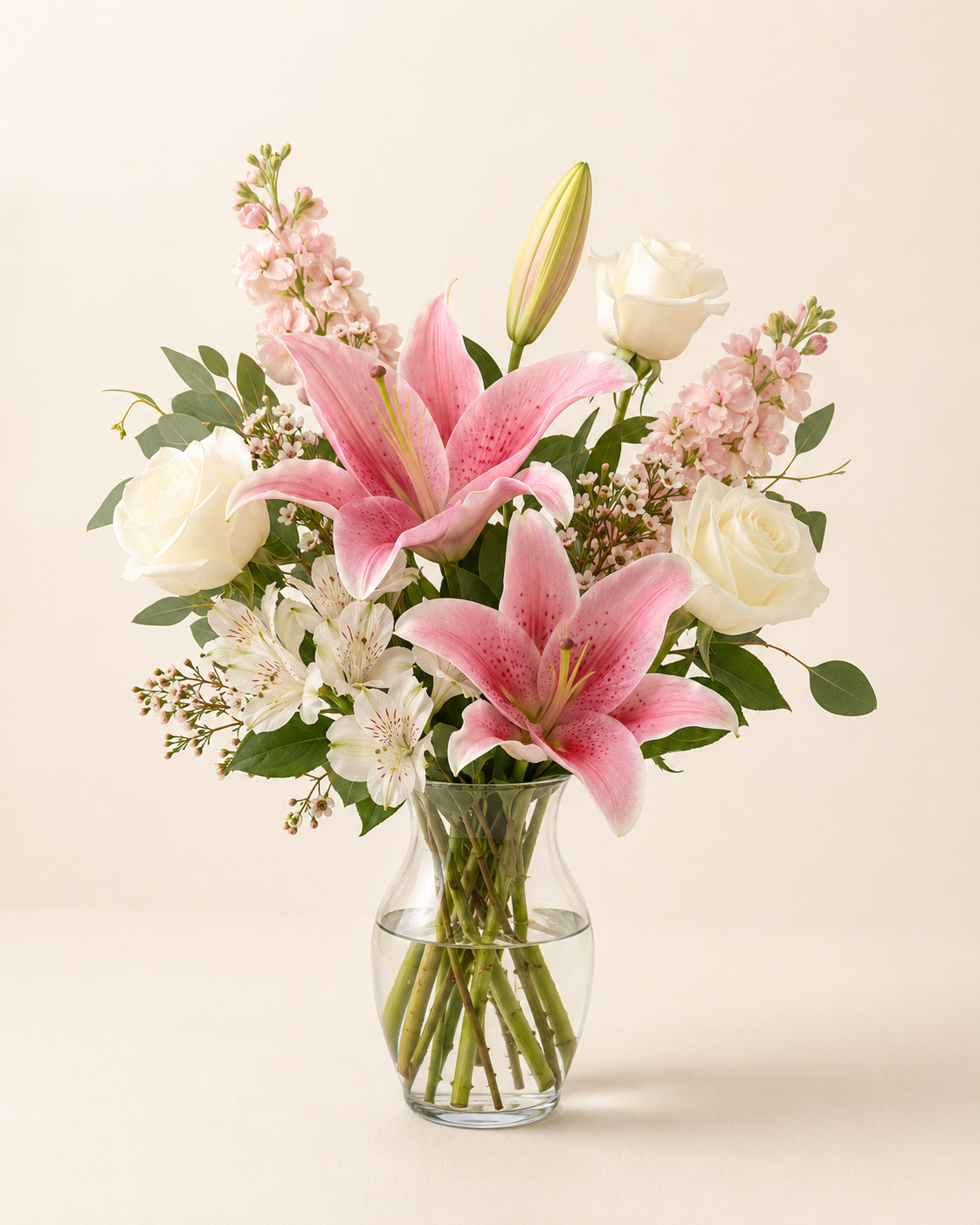 Pink Lily Radiance – Standard