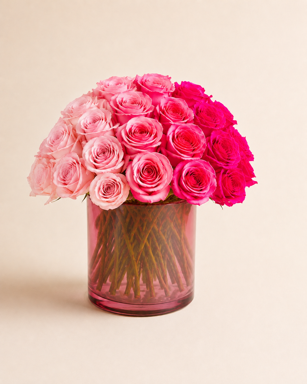 Pink Ombre Rose Atelier — Standard size with balanced fullness