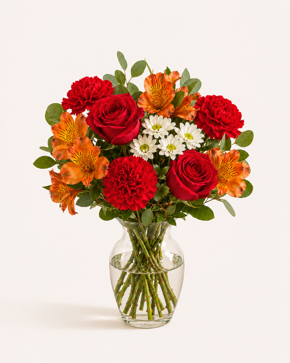 Scarlet Spark – Standard