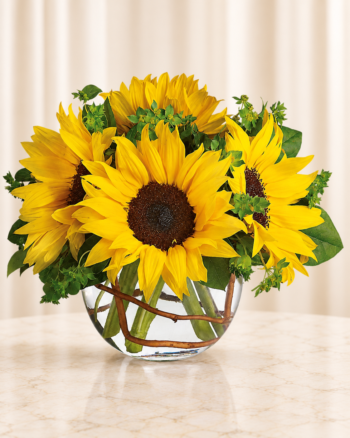 Sunny Sunflowers — Standard — cream background
