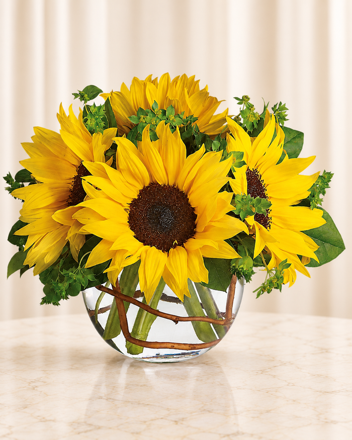 Sunny Sunflowers